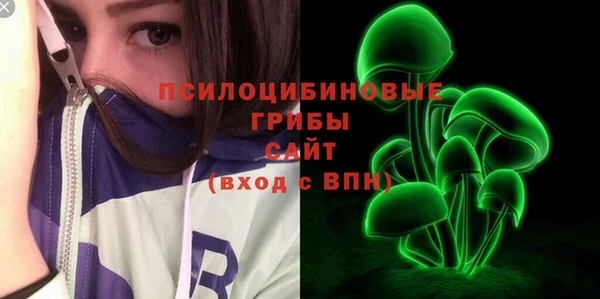 экстази Новодвинск