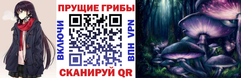 Галлюциногенные грибы Cubensis Торопец