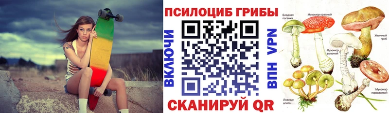 Псилоцибиновые грибы Psilocybe  Торопец 